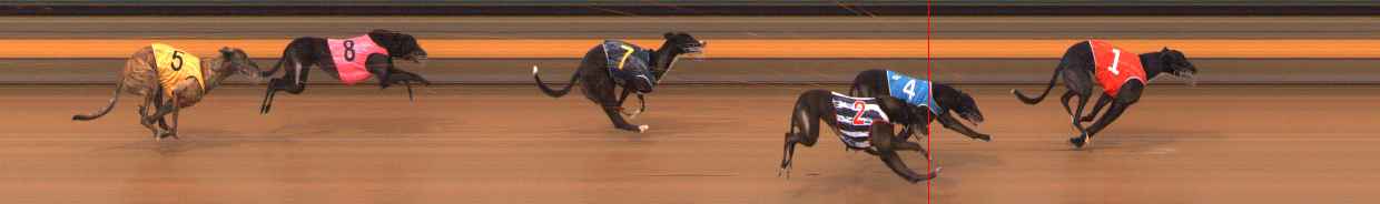 Photo finish for Ballarat Race 14