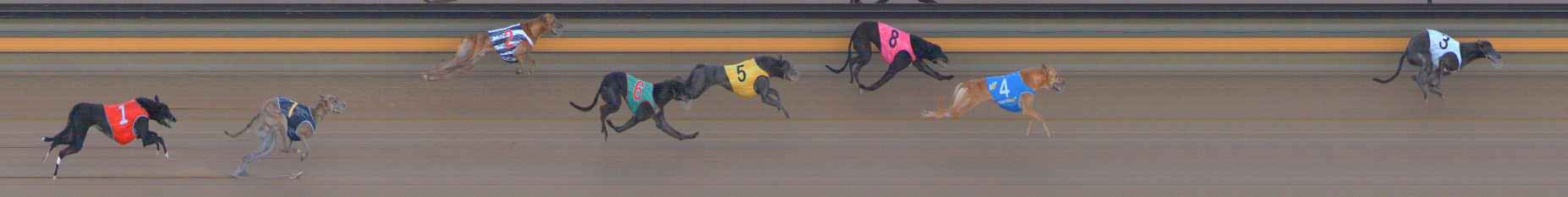 Photo finish for Ballarat Race 3
