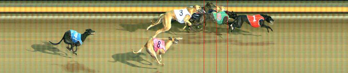 Photo finish for Ballarat Race 6