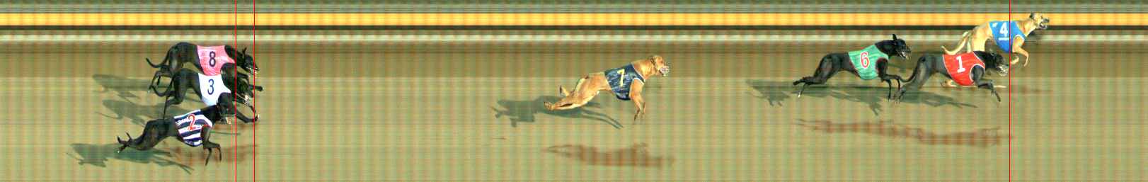 Photo finish for Ballarat Race 8