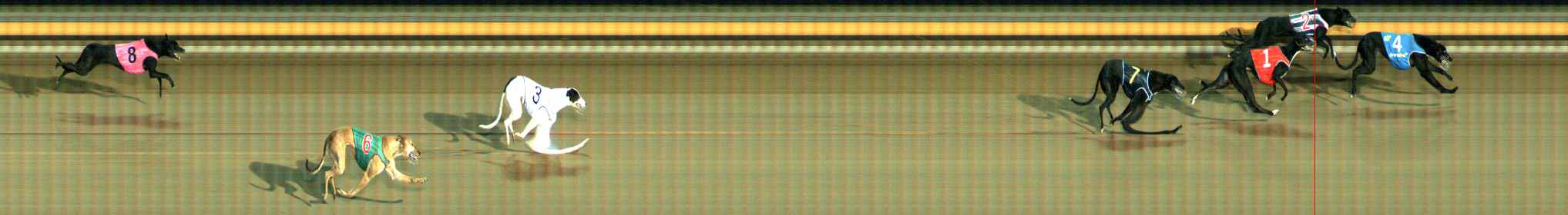 Photo finish for Ballarat Race 10