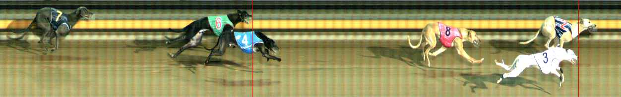 Photo finish for Ballarat Race 12