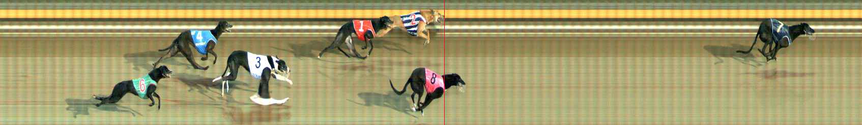 Photo finish for Ballarat Race 5