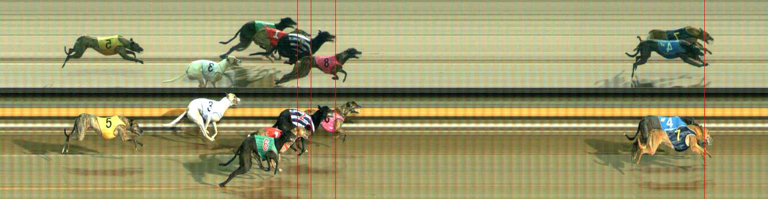 Photo finish for Ballarat Race 6