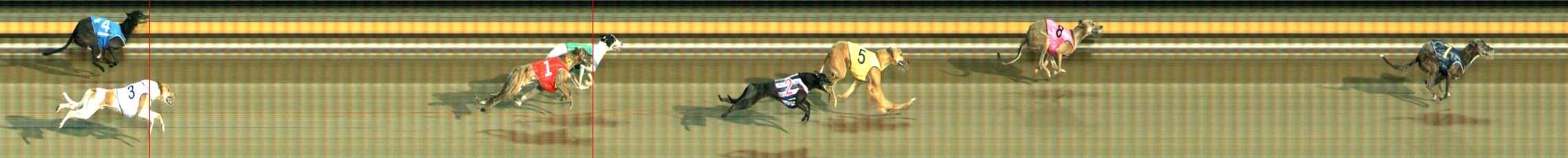 Photo finish for Ballarat Race 7