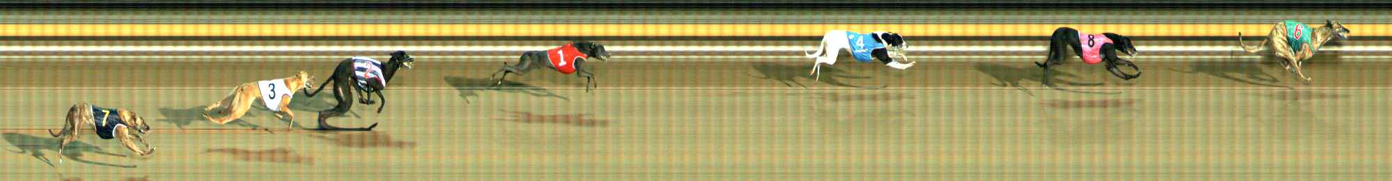 Photo finish for Ballarat Race 9