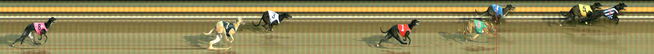 Photo finish for Ballarat Race 10