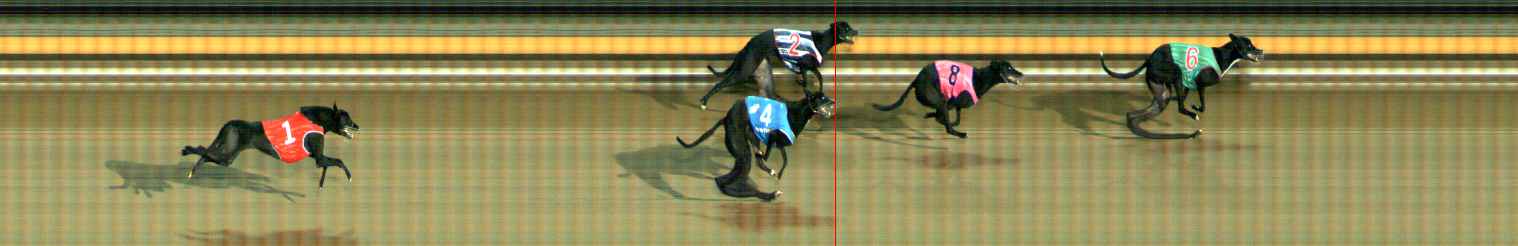 Photo finish for Ballarat Race 11