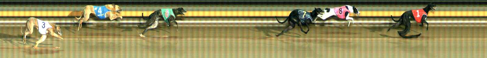 Photo finish for Ballarat Race 12
