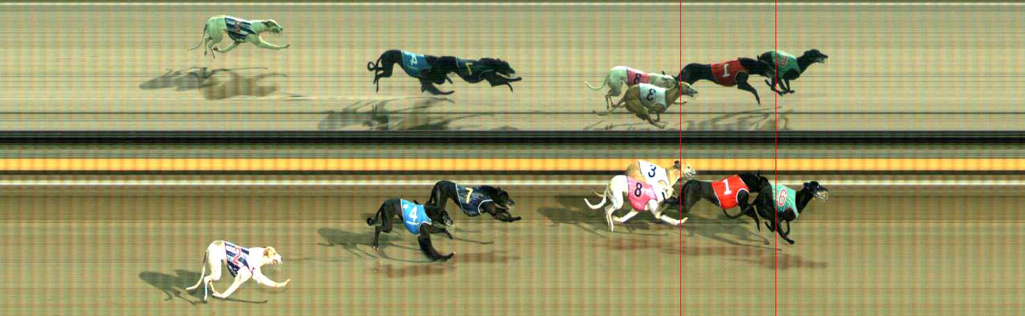 Photo finish for Ballarat Race 14