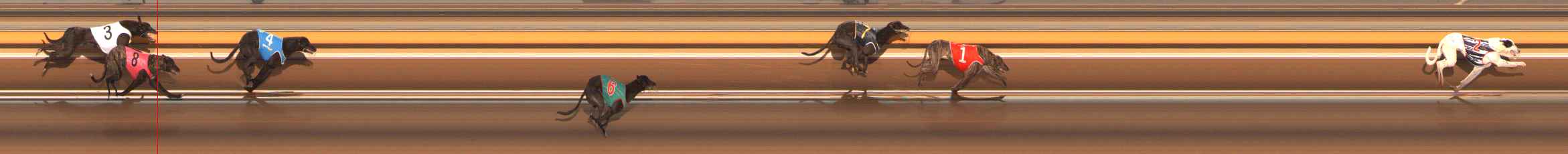 Photo finish for Ballarat Race 2