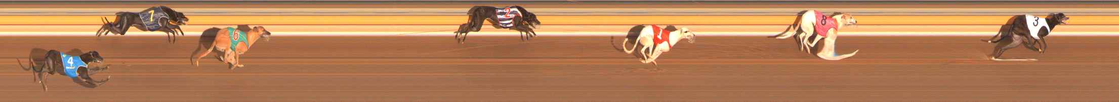 Photo finish for Ballarat Race 4