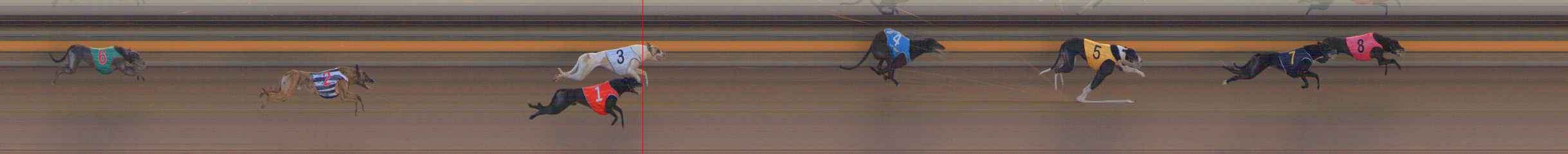 Photo finish for Ballarat Race 6