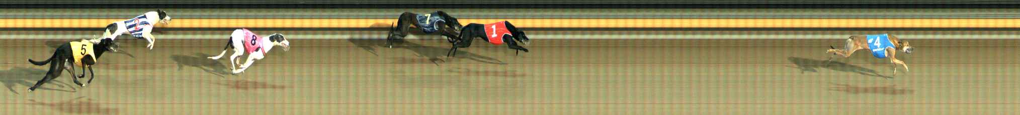 Photo finish for Ballarat Race 9