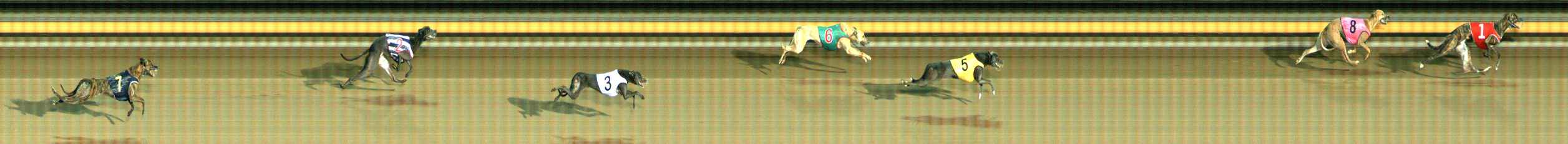 Photo finish for Ballarat Race 13