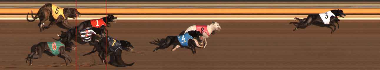 Photo finish for Ballarat Race 11