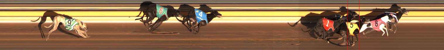 Photo finish for Ballarat Race 13