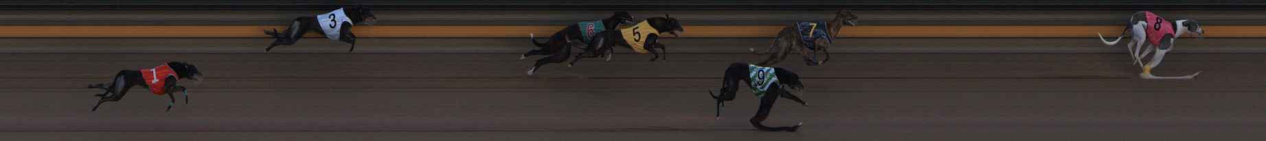 Photo finish for Ballarat Race 14