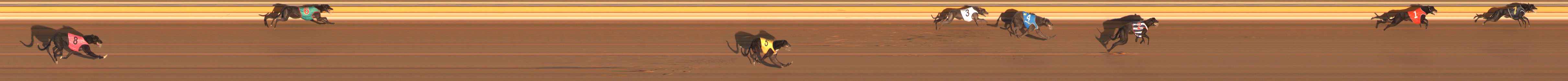 Photo finish for Ballarat Race 1