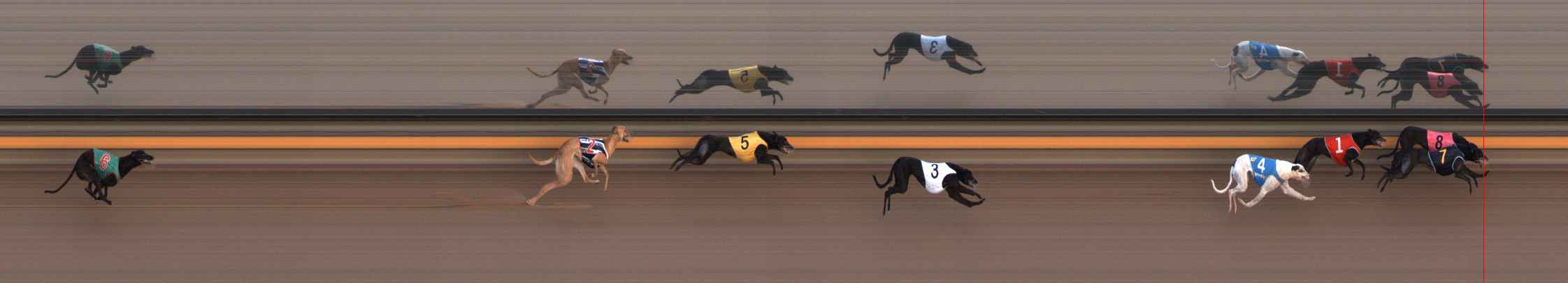 Photo finish for Ballarat Race 5