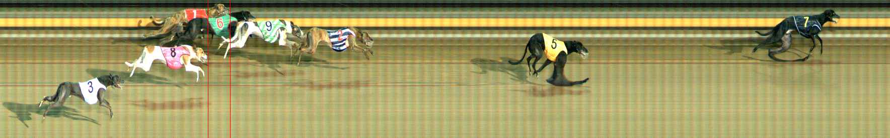 Photo finish for Ballarat Race 8