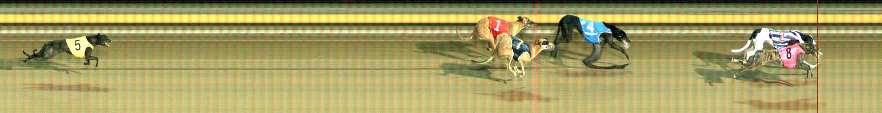 Photo finish for Ballarat Race 9