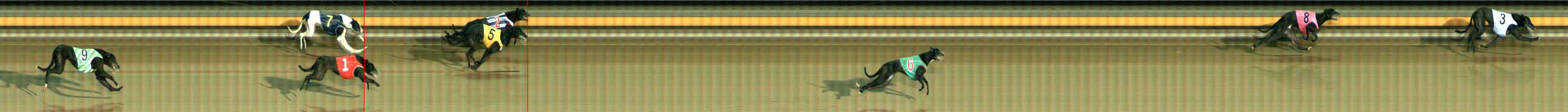 Photo finish for Ballarat Race 10