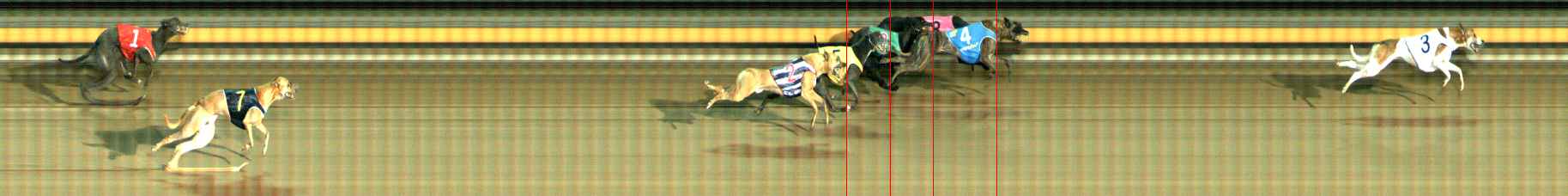 Photo finish for Ballarat Race 12