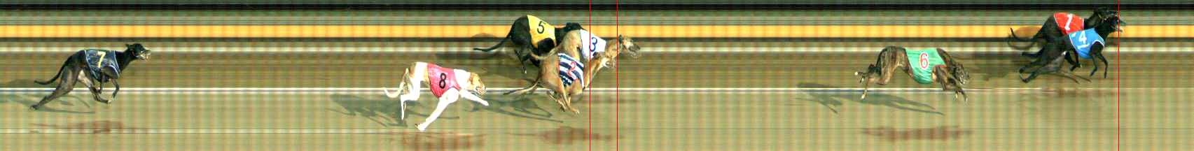 Photo finish for Ballarat Race 13