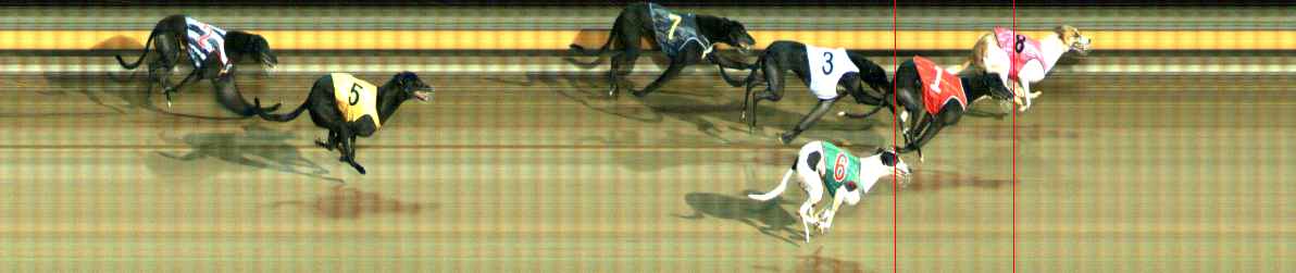 Photo finish for Ballarat Race 14