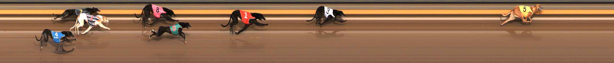 Photo finish for Ballarat Race 2