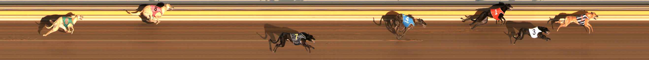 Photo finish for Ballarat Race 5