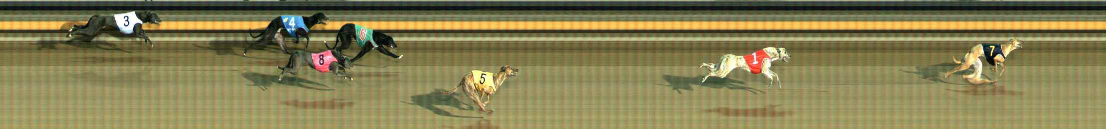 Photo finish for Ballarat Race 10