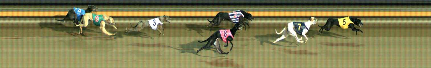 Photo finish for Ballarat Race 12
