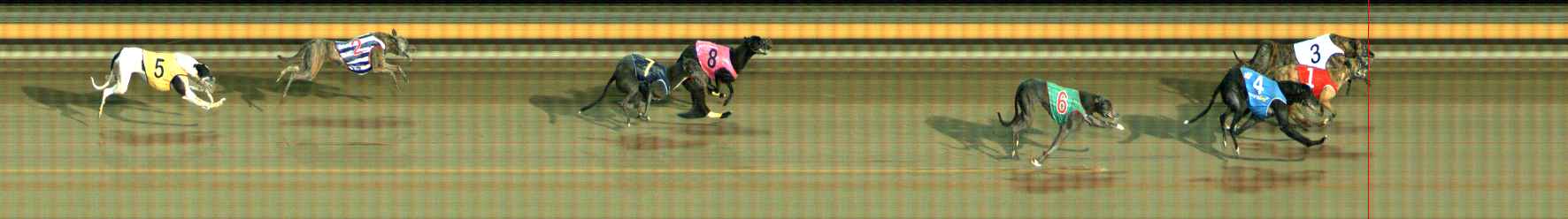 Photo finish for Ballarat Race 13