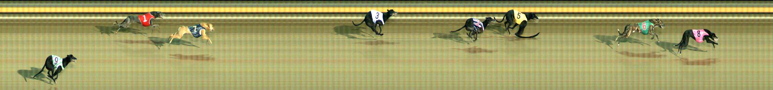 Photo finish for Ballarat Race 14