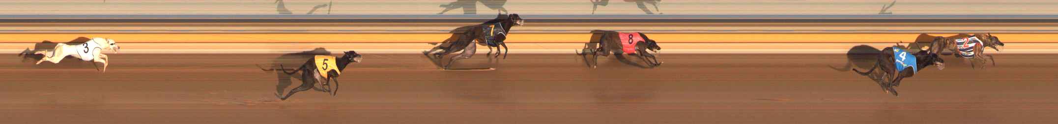 Photo finish for Ballarat Race 2