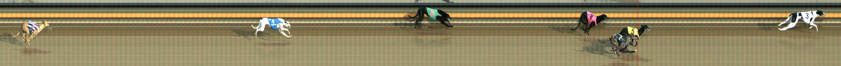 Photo finish for Ballarat Race 6