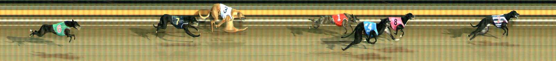 Photo finish for Ballarat Race 9