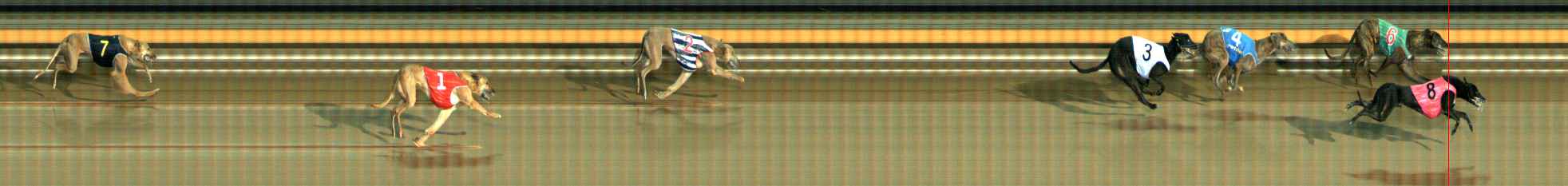 Photo finish for Ballarat Race 10