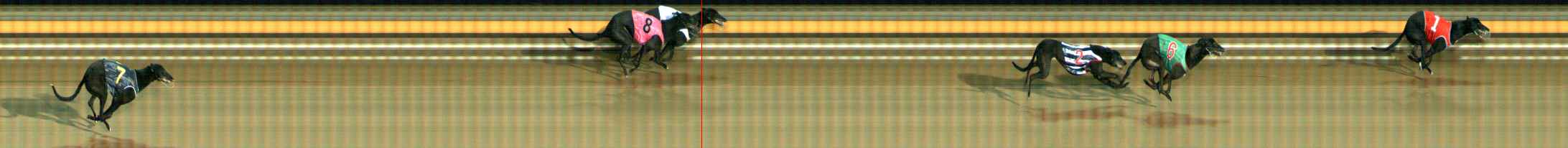 Photo finish for Ballarat Race 11