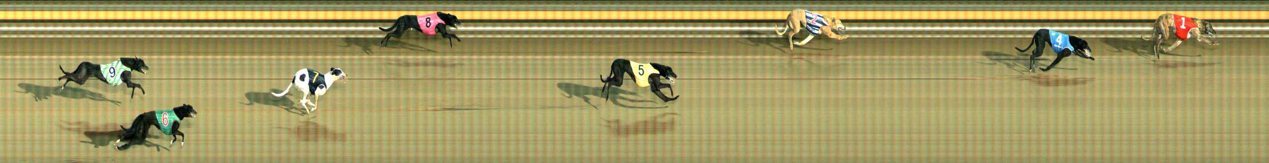 Photo finish for Ballarat Race 12