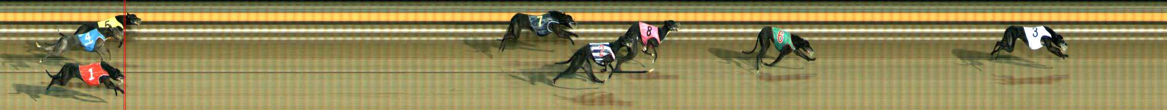 Photo finish for Ballarat Race 14