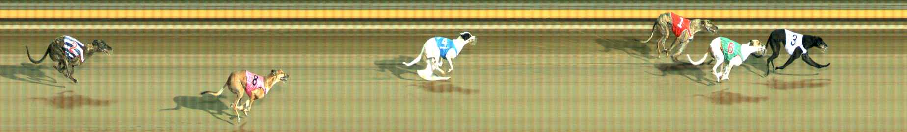 Photo finish for Ballarat Race 9