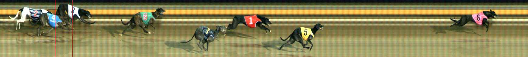 Photo finish for Ballarat Race 11