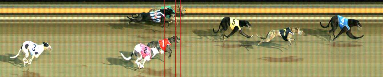 Photo finish for Ballarat Race 12