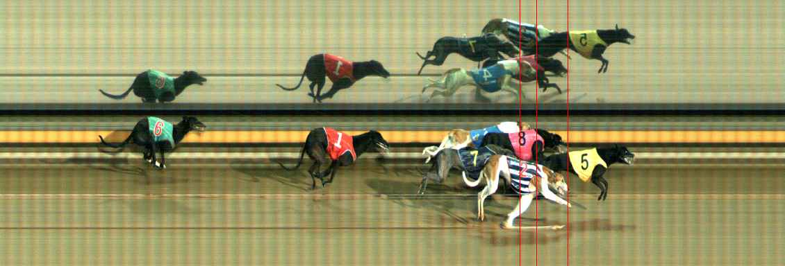 Photo finish for Ballarat Race 13