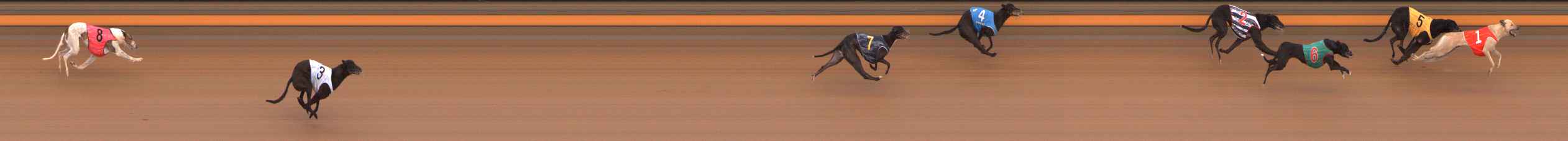 Photo finish for Ballarat Race 2
