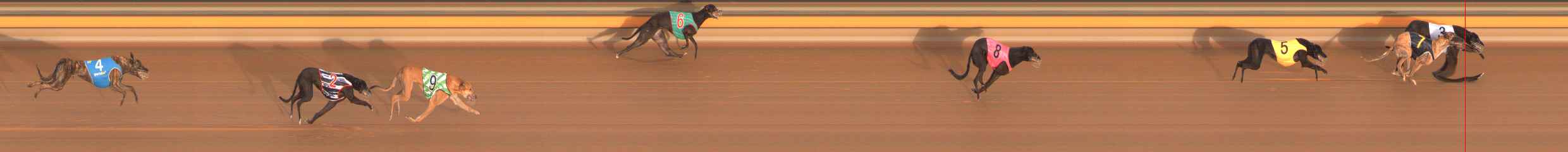 Photo finish for Ballarat Race 3
