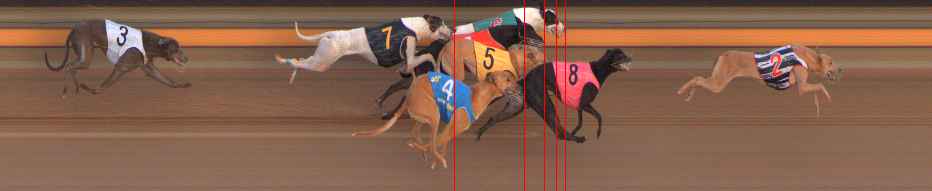 Photo finish for Ballarat Race 5